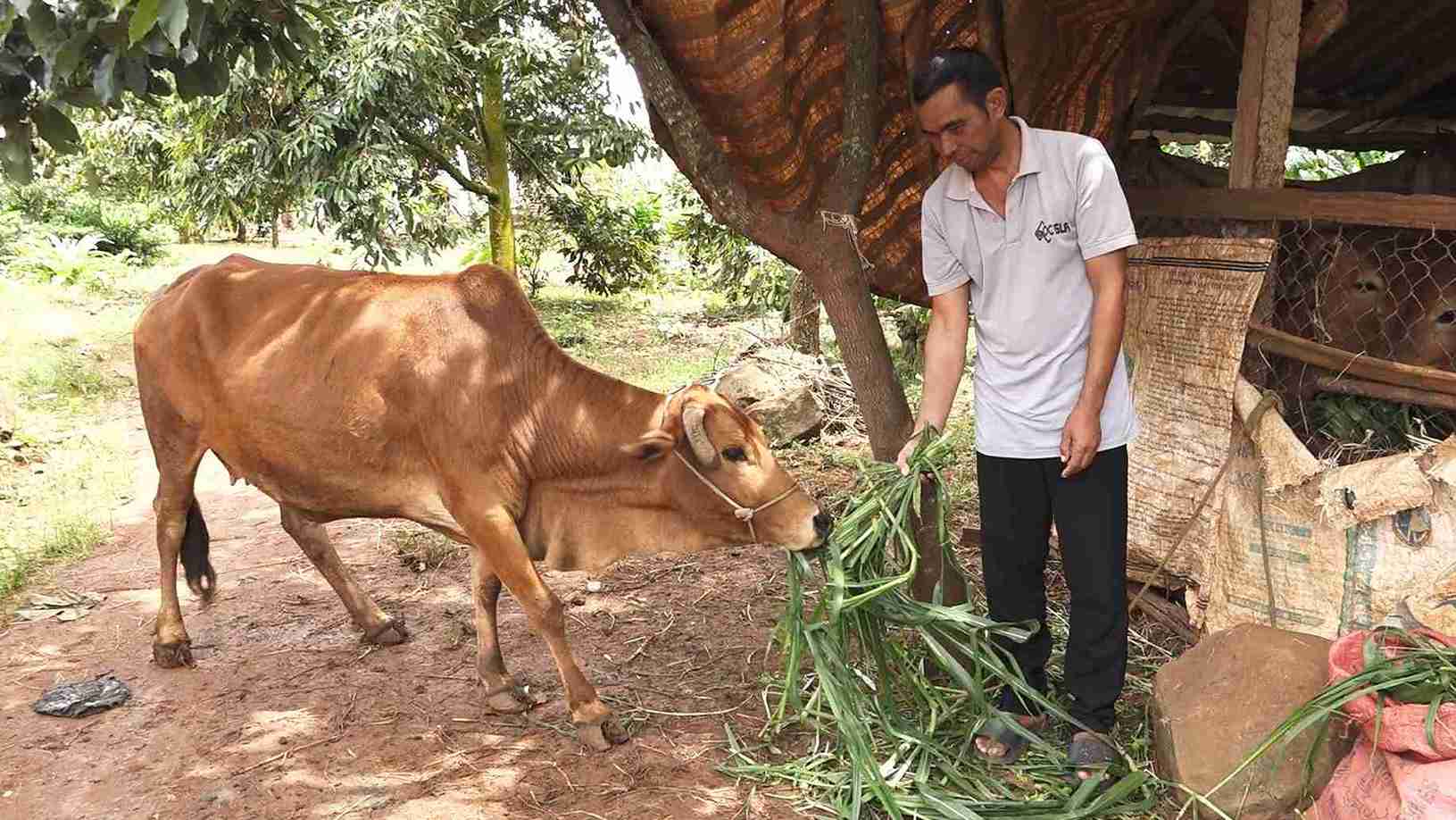 Giam ngheo ben vung la muc tieu trong yeu ma ca he thong chinh tri xa huong toi. Anh: Bao Lam