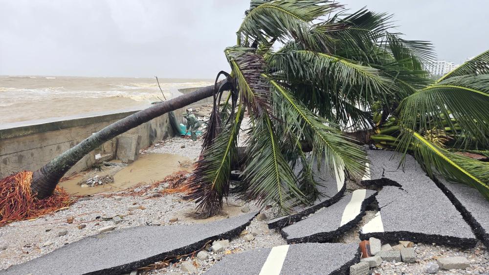 La costa de Hai Tien en Thanh Hoa devastada tras la tormenta numero 10. Foto: Quach Du