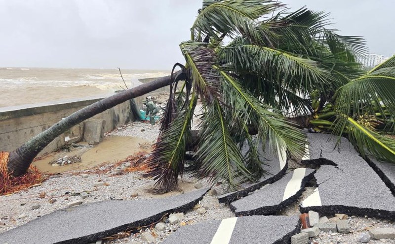 Hai Tien coast, Thanh Hoa devastated after storm No. 10. Photo: Quach Du
