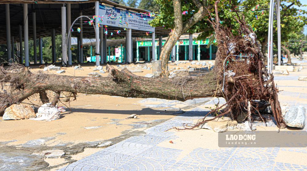 Tuy nhien, sau bao so 10, song manh tiep tuc danh vao bo, cuon troi lop cat, de lo ra nhung mang be tong cu va khien trinh trang sat lo, xam thuc them phan nghiem trong hon. 