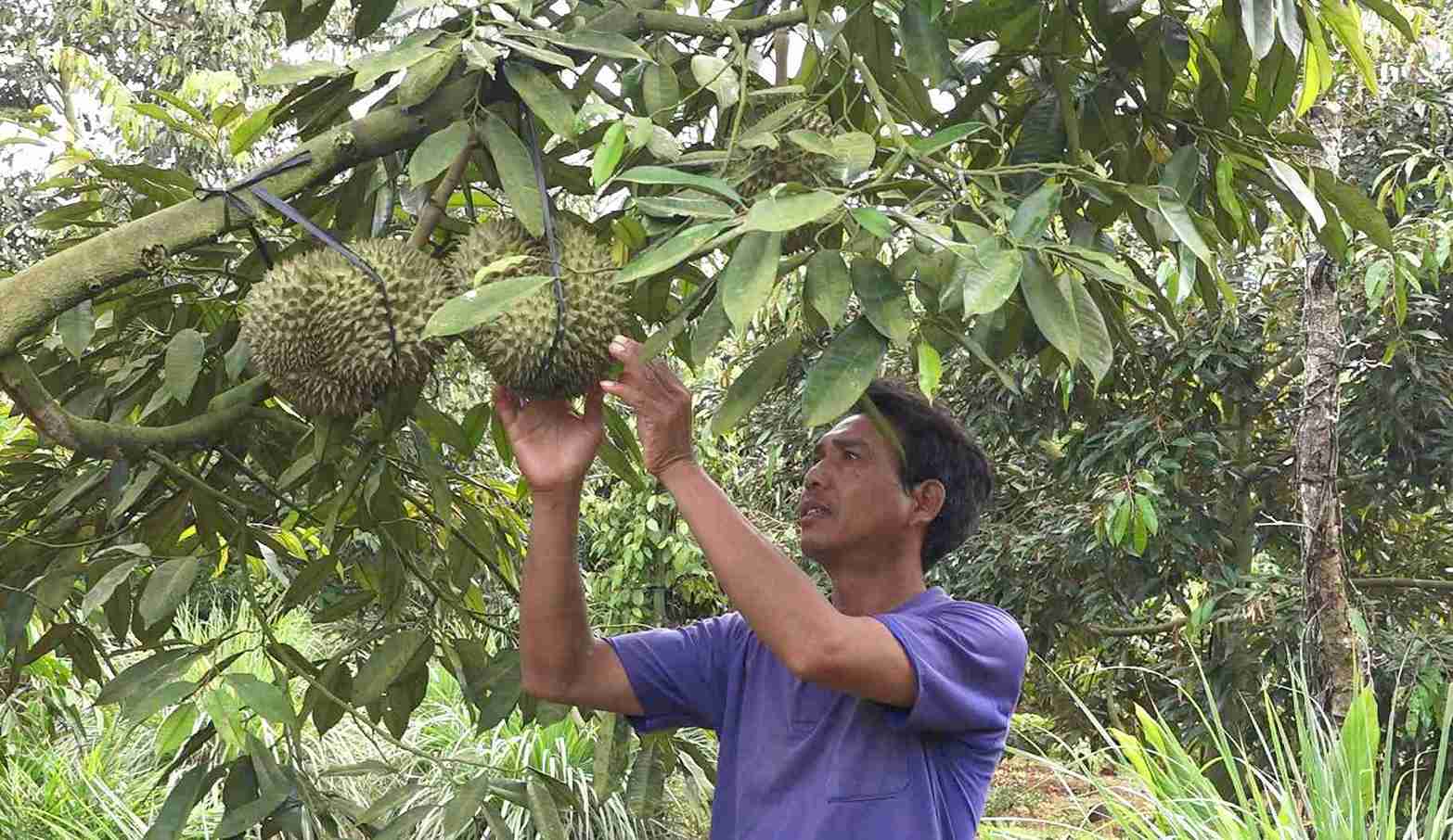 Nho duoc thay doi tu duy, nep nghi, nhieu nguoi dan o xa dang vay von phat trien kinh te ho gia dinh. Anh: Bao Trung