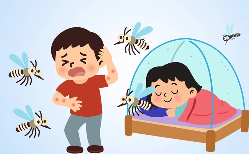 How to prevent dengue fever at work and when traveling. Graphics: Thien Nhan