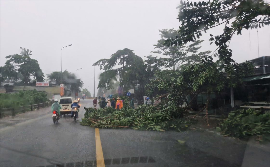 Canh xanh bi nga do sau mua lon. Anh: Lam Hong