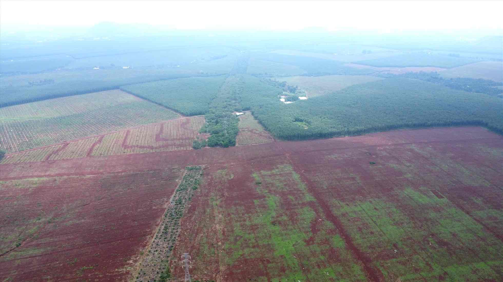 The land of Long Giao Industrial Cluster was put up for auction. Documentary photo: HAC
