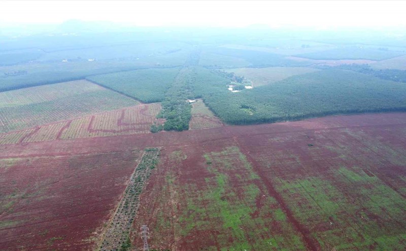 The land of Long Giao Industrial Cluster was put up for auction. Documentary photo: HAC