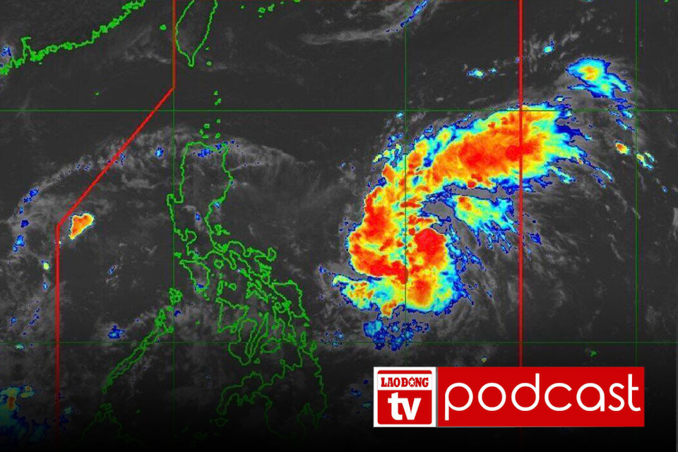 Nouvelles du matin : Previsions de la premiere zone de debarquement de la tempete potentiellement en tempete n° 11