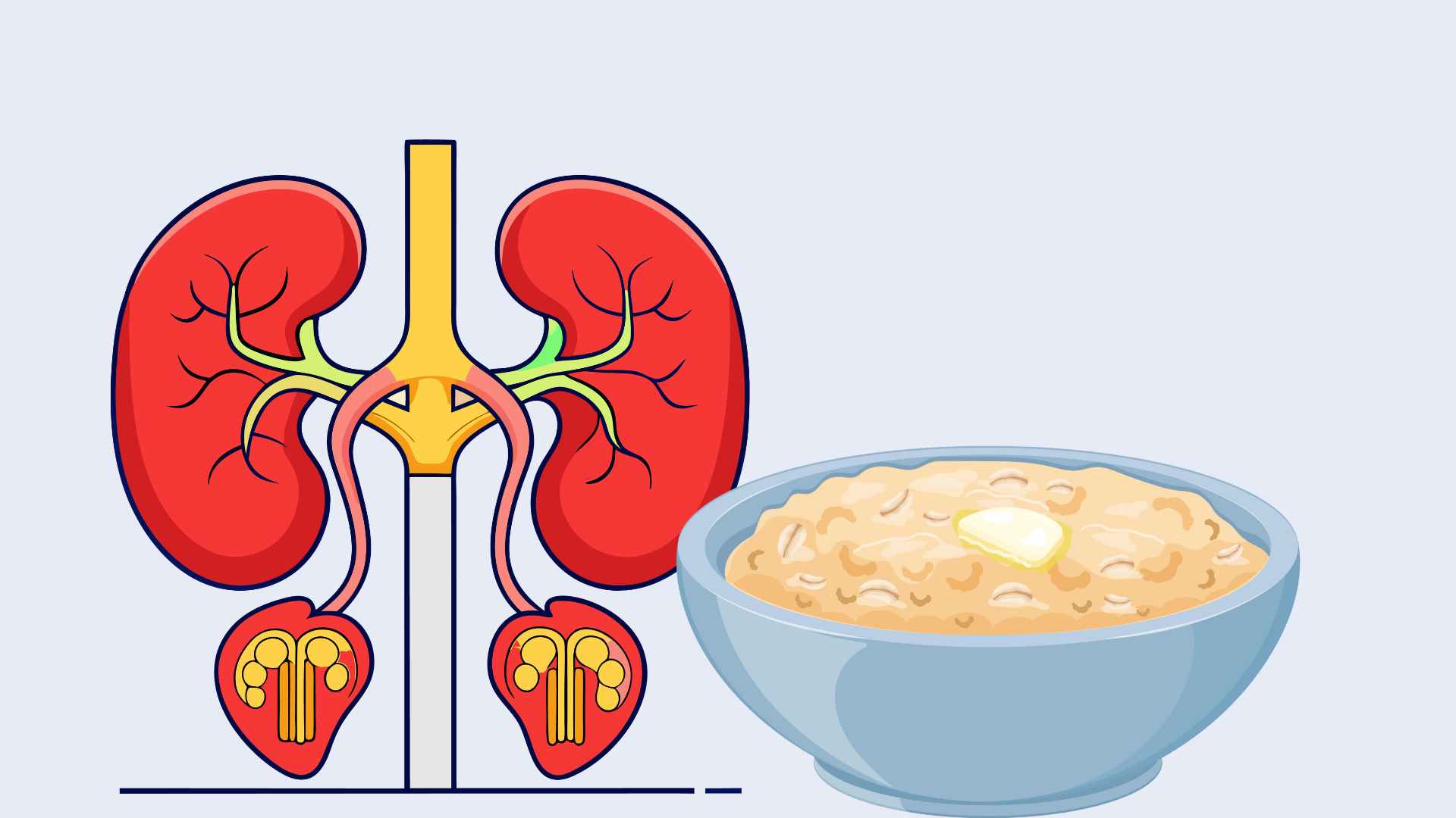 Oatmeal porridge helps detoxify the kidneys effectively. Graphic photo: Huong Giang