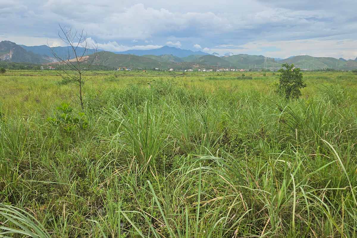 Sau gan 20 nam, du an van chi la mot bai dat hoang. Anh: Doan Hung