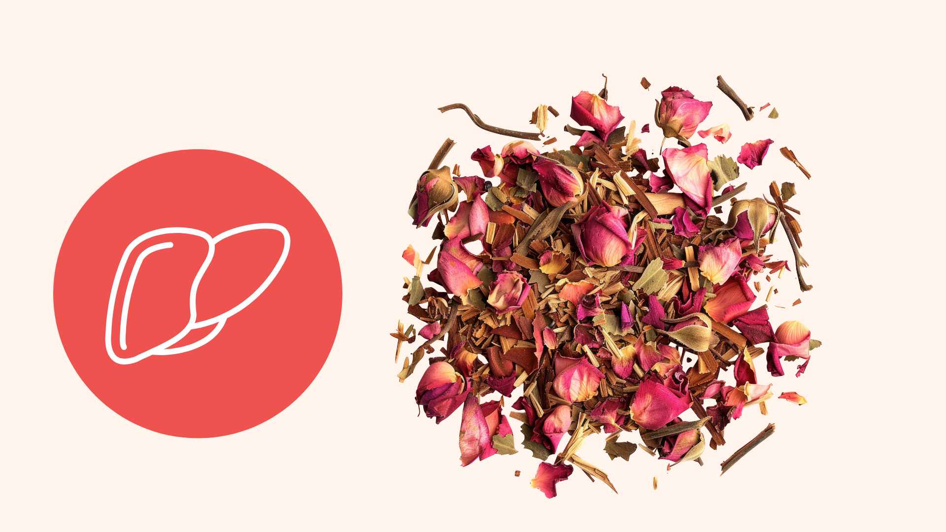 乾燥アチソの葉は肝臓を効果的に解毒するのに役立ちます。写真、グラフィック:Huong Giang