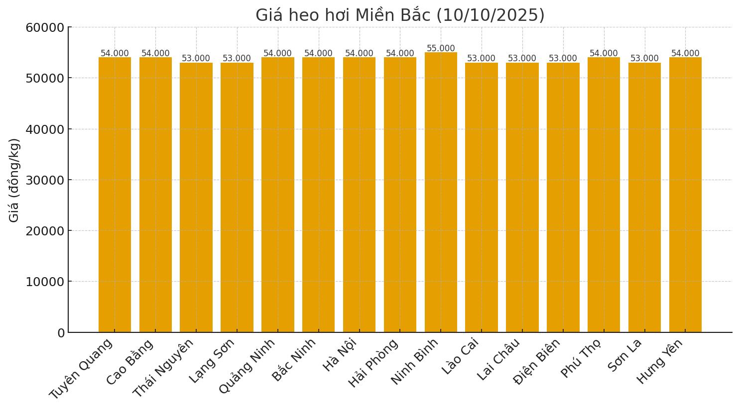 Gia heo hoi hom nay 10.10 o mien Bac. Do hoa: Thuy Linh.