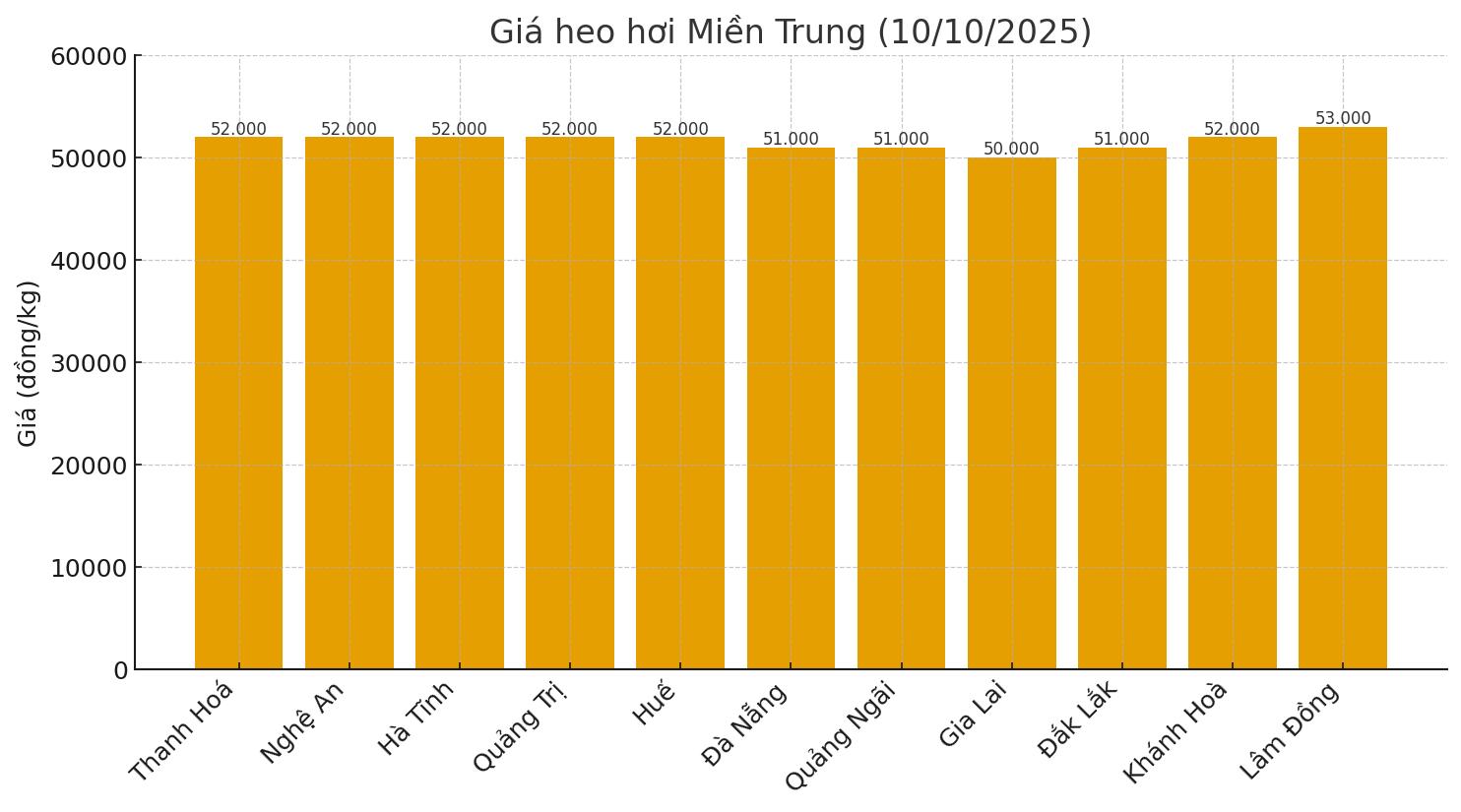 Gia heo hoi hom nay 10.10 o mien Trung. Do hoa: Thuy Linh.