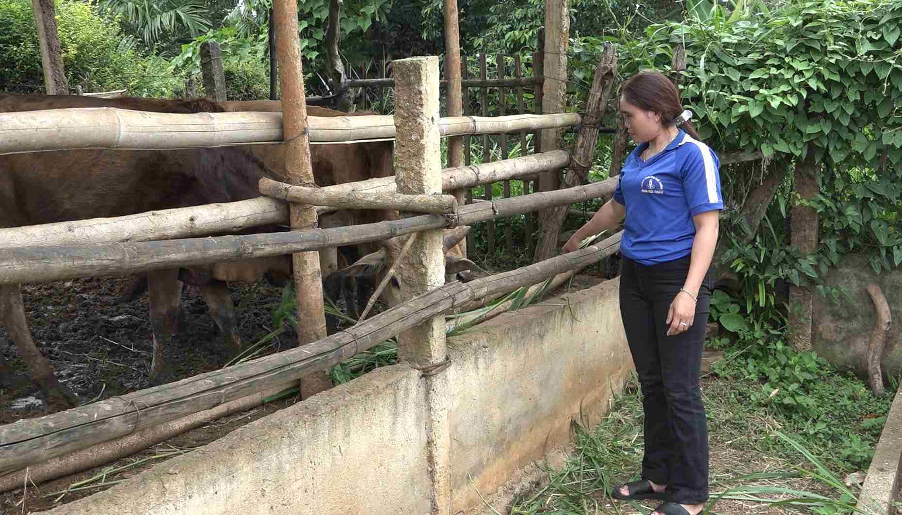 Nguoi dan o xa hoc cach phat trien kinh te chan nuoi ho gia dinh. Anh: Bao Lam