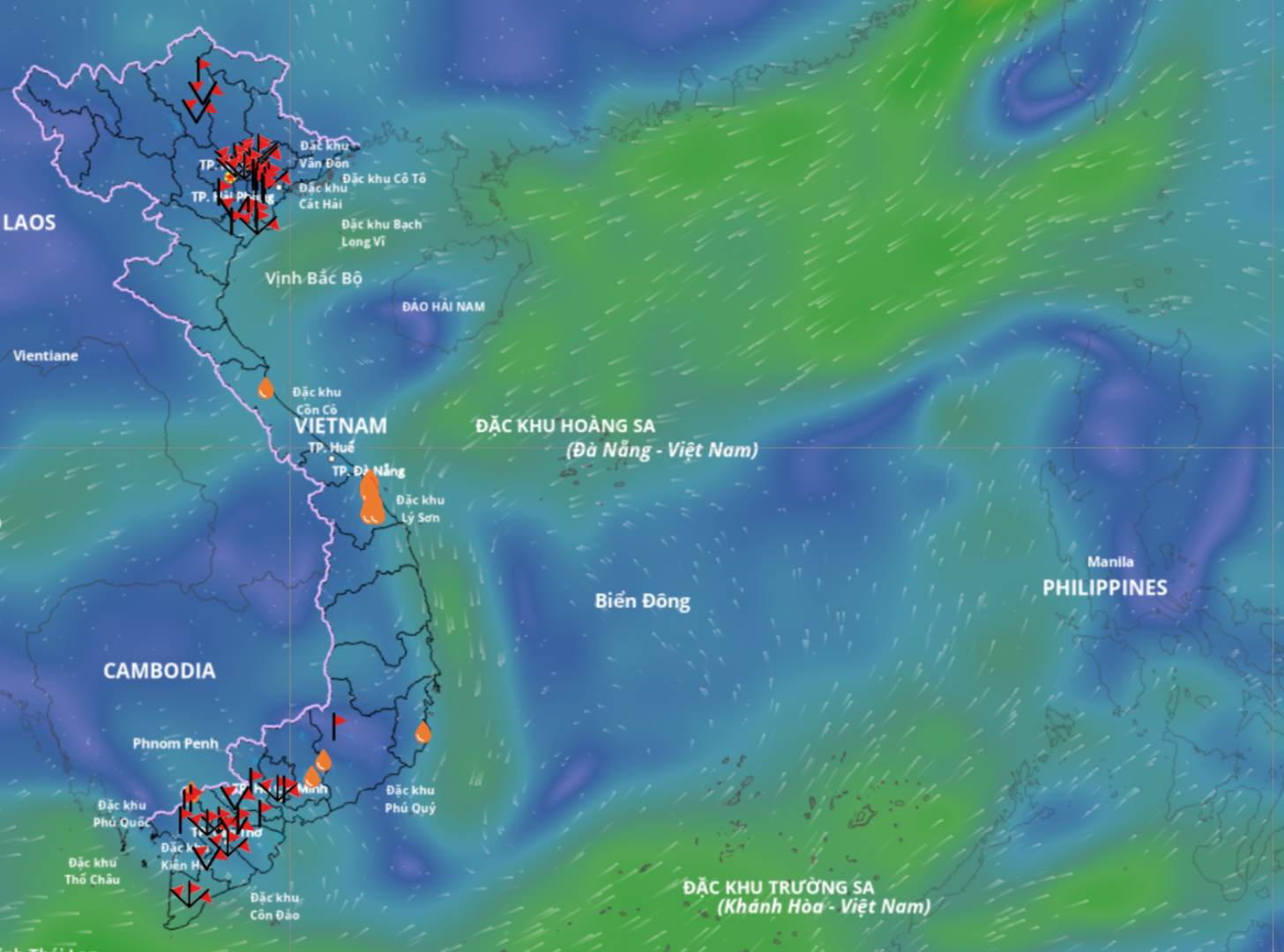 The low pressure area is active in the central East Sea area. Source: Vietnam Disaster Monitoring System