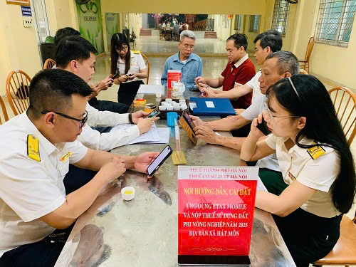 Can bo thue phai ra soat, kiem tra du lieu dat dai, dong thoi truc tiep huong dan nguoi dan ke khai, nop thue truc tuyen. Anh: Diep Anh