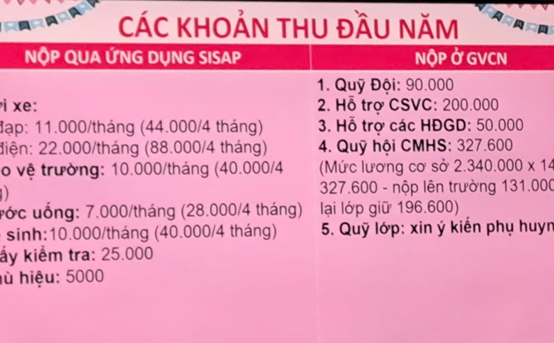 The fees collected at Thuan Duc Primary and Secondary School have made many parents worried. Photo: Thanh Son