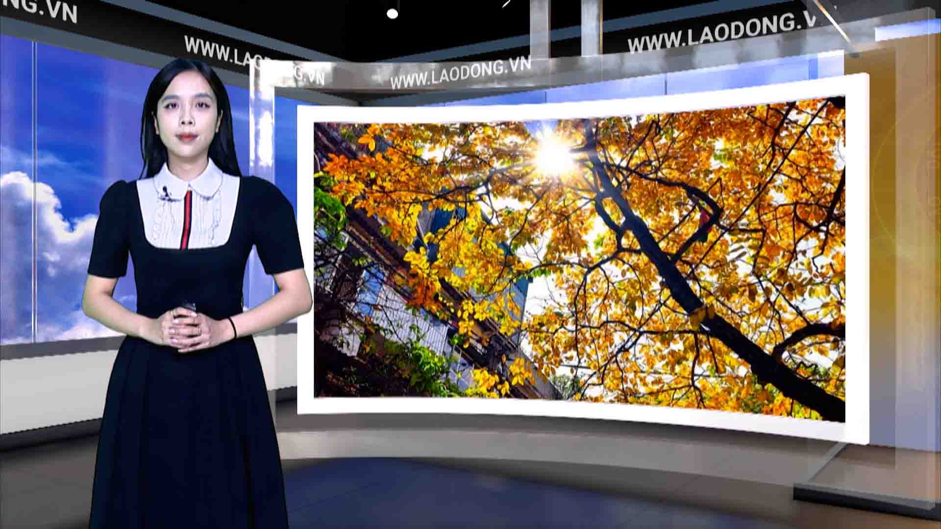 Weather forecast for tonight and tomorrow, October 11