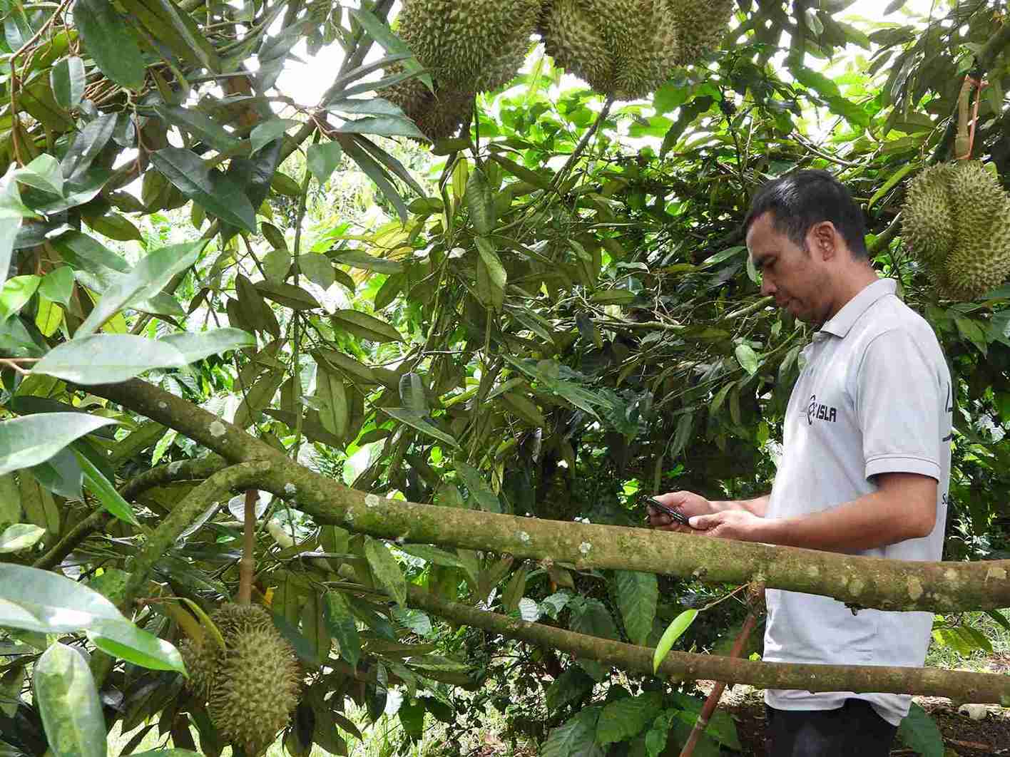 Phat trien nong nghiep van la huong di ben vung cua cac ho gia dinh kho khan o xa Krong Nang. Anh: Bao Lam