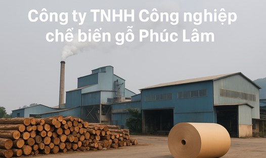 Công ty Phúc Lâm bị ngành chức năng Lào Cai xử phạt vì triển khai dự án mà chưa có giấy phép môi trường. Ảnh đồ họa: Đinh Đại