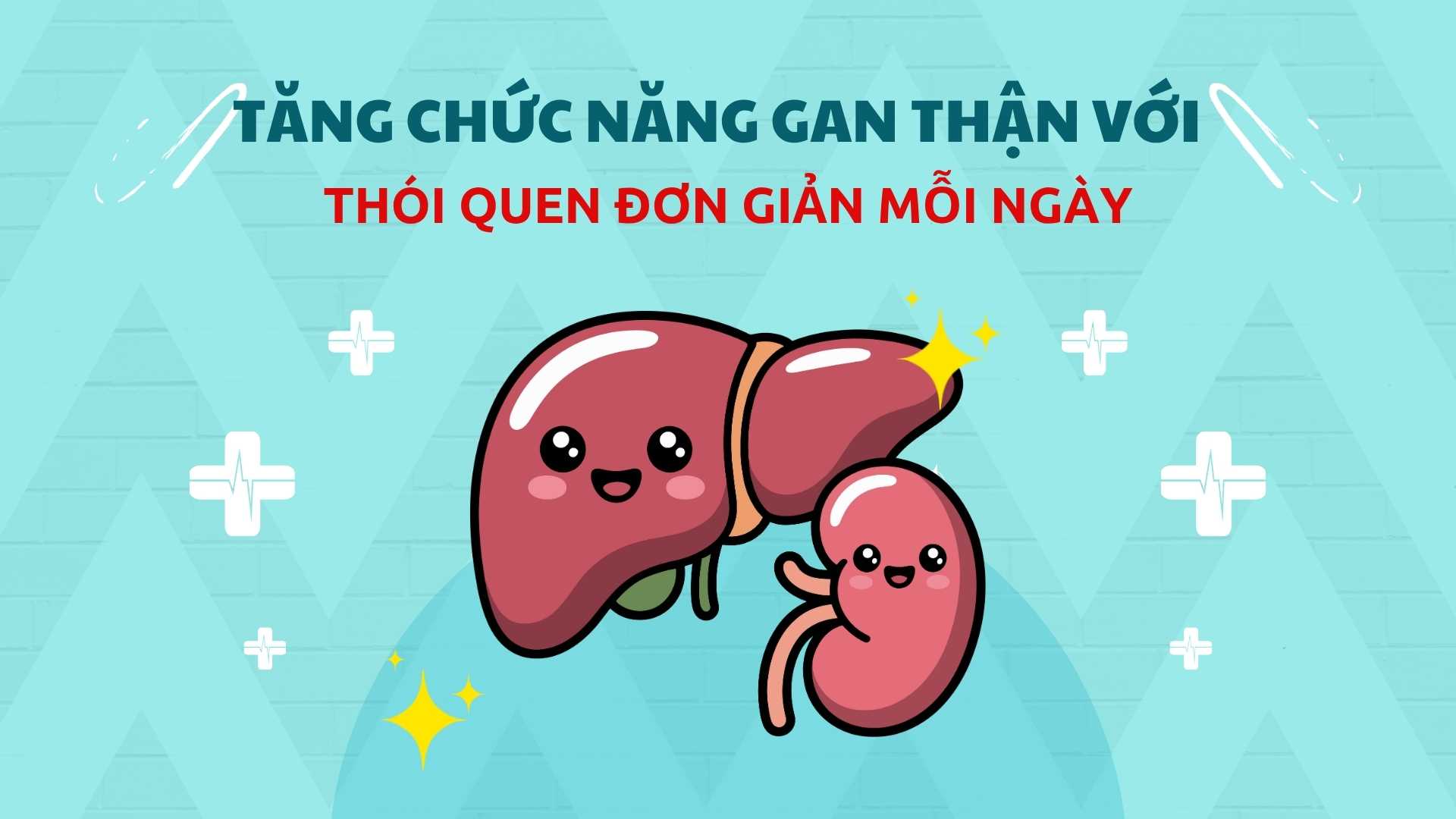 En augmentant la fonction hepatique et renale avec des habitudes simples chaque jour