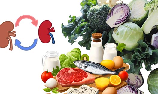 Bổ sung một số nhóm thực phẩm có thể giúp phục hồi gan thận. Đồ họa: Hạ Mây