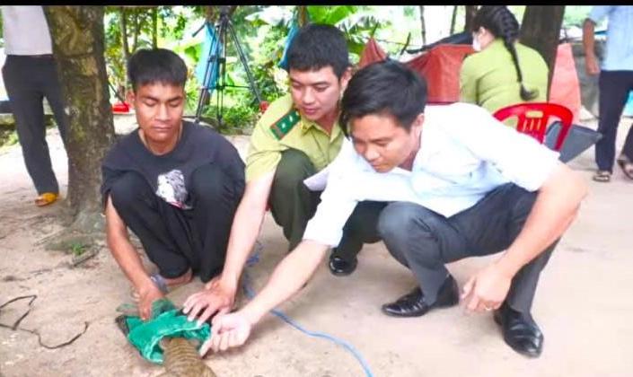 A family in Dak Lak voluntarily handed over a traveling animal to the authorities. Photo: Phan Tuan