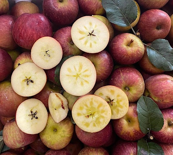 Apples are rich in fiber, which is very good for health. Photo: Quang Minh