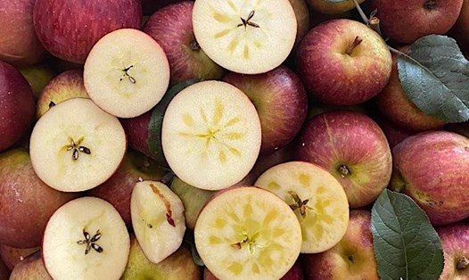 Táo giàu chất xơ rất tốt cho sức khỏe. Ảnh: Quang Minh