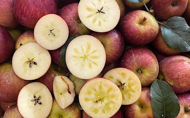 Apples are rich in fiber, which is very good for health. Photo: Quang Minh