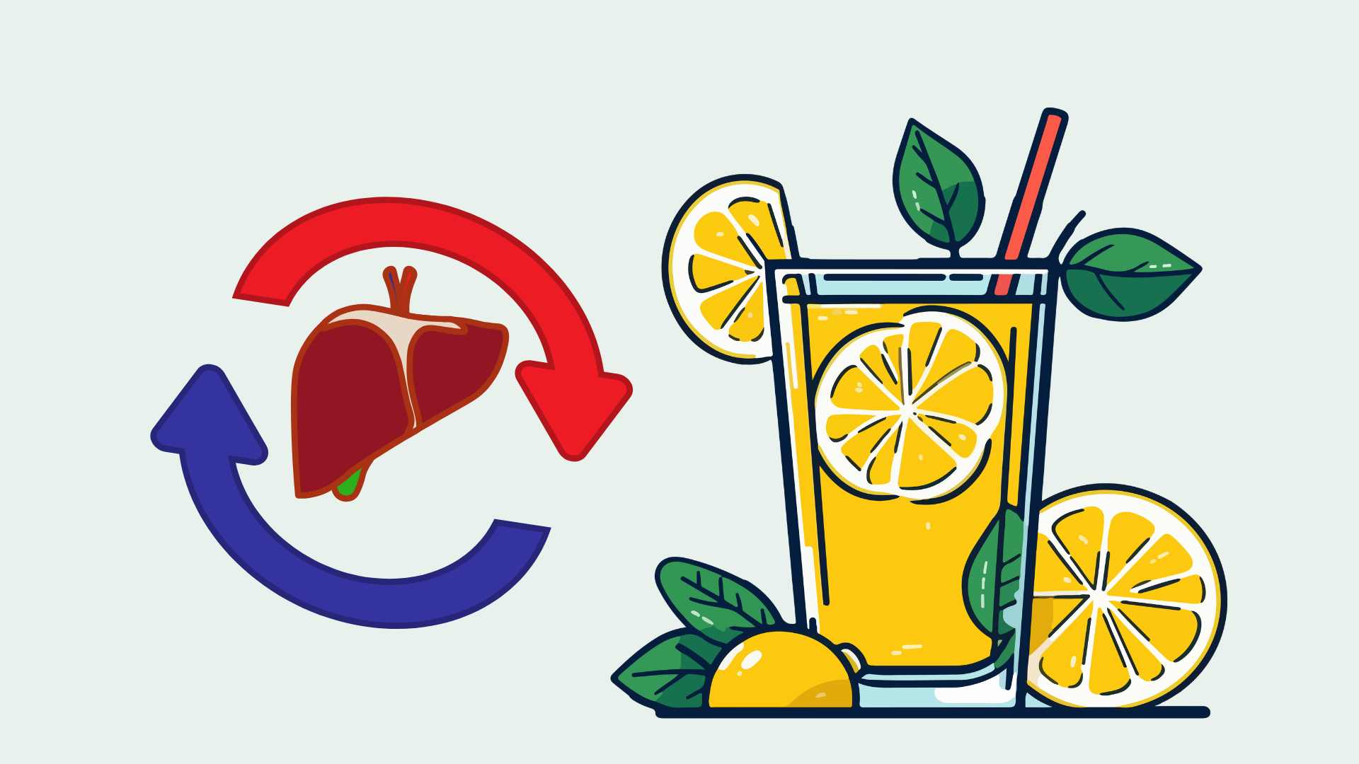 Warm lemon water helps detoxify the liver effectively. Graphic photo: Huong Giang