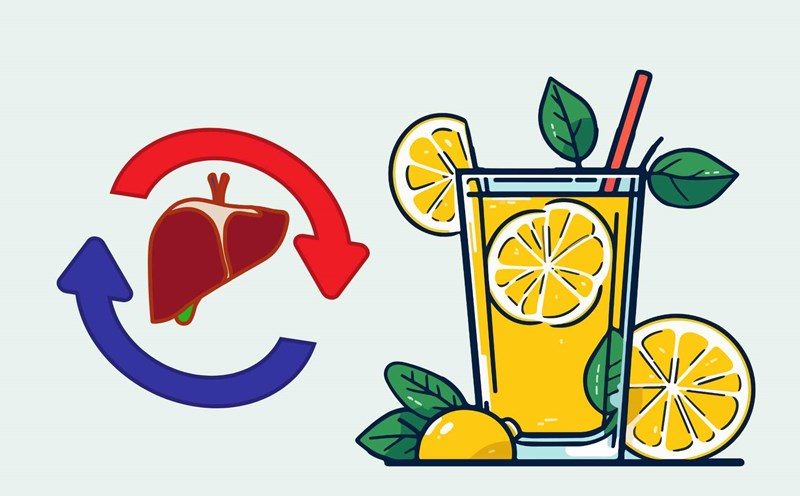 Warm lemon water helps detoxify the liver effectively. Graphic photo: Huong Giang