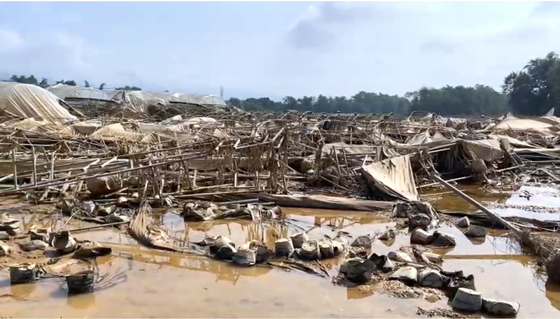 Bun non van ngap ngua tren mot so tuyen duong, nhieu doanh nghiep mat trang tai san dang nuoi trong. Anh: Tan Van