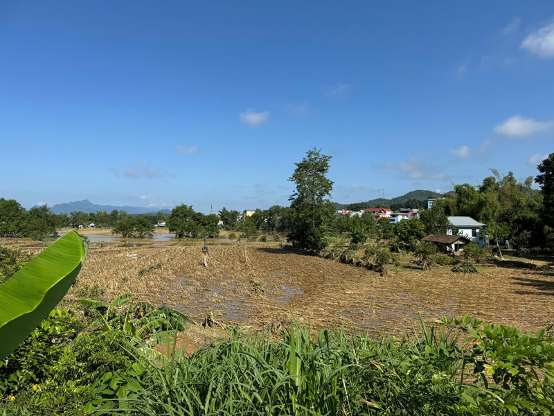 Sau cac phuong trung tam, xa Hoa An co le la don vi anh huong nang ne nhat khi lien tuc chiu ngap ung, thiet hai tren 40 ti dong. Anh: Xa Hoa An