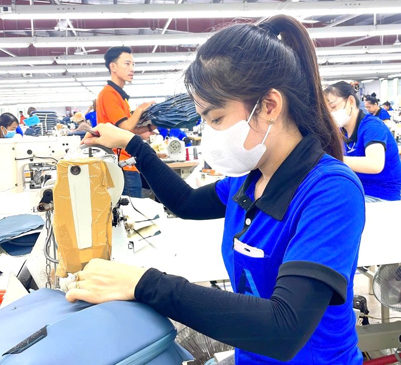 UBND TPHCM vua co van ban kien nghi dieu chinh phan vung luong toi thieu tu vung III thanh vung II doi voi 6 xa va dac khu Con Dao thuoc dia ban TPHCM. Anh: Nam Duong