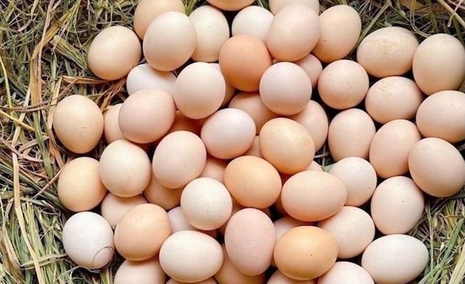 Few people expect eggs to be good for the eyes. Photo: Kieu Vu