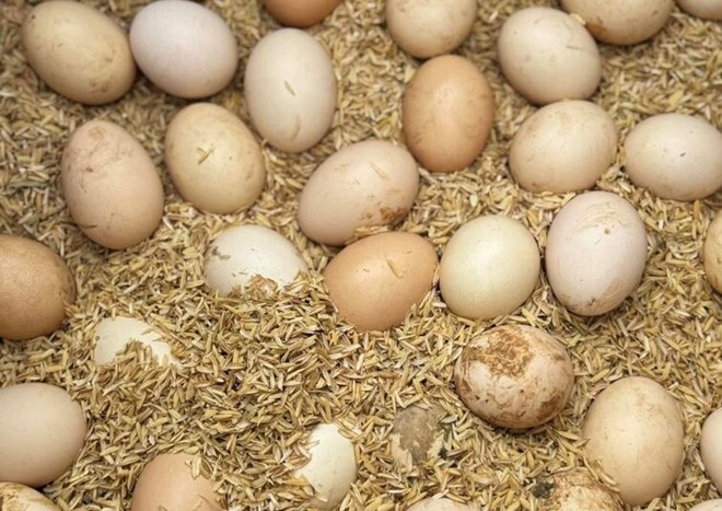 Eating eggs properly and reasonably can prevent hair loss. Photo: Kieu Vu.