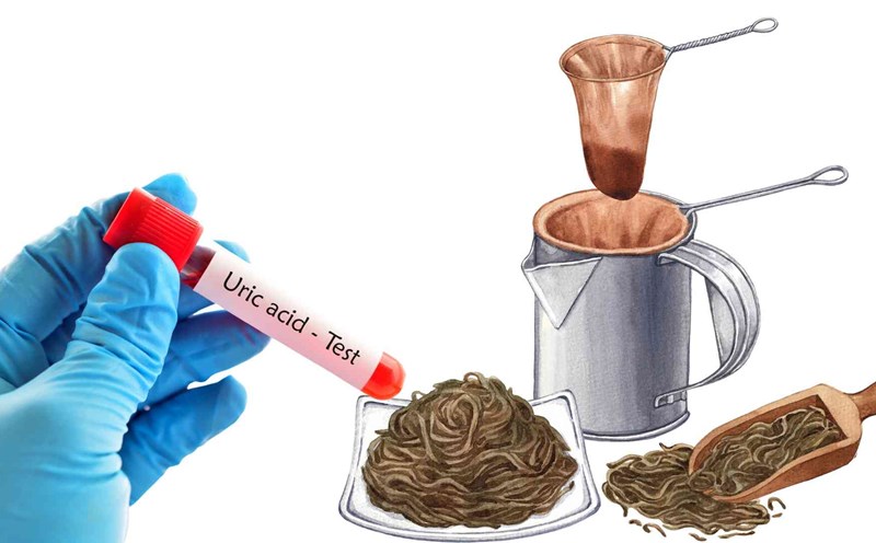 Refrigerated tea can prevent uric acid from spiking. Graphics: Ha May