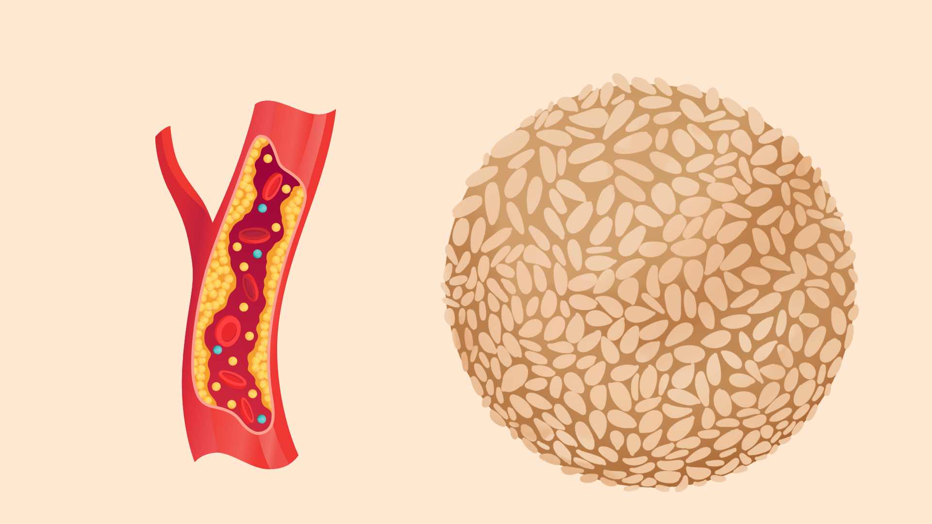 Sesame seeds can effectively support blood fat reduction. Graphic photo: Hoang Loc
