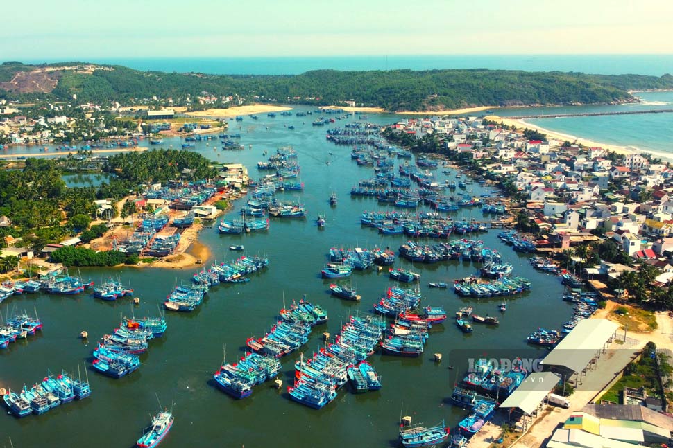 Tàu cá neo đậu tại cảng cá thuộc tỉnh Gia Lai. Ảnh: Tuệ Lâm