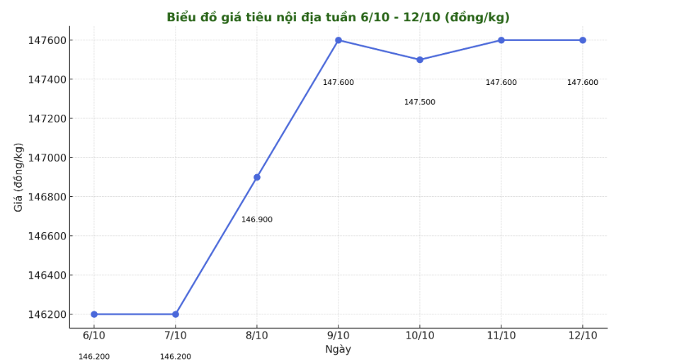 Xu huong tang gia cua gia tieu noi dia tu ngay 5.10 den ngay 12.10.2025, tang cao nhat 4.000 dong/kg. Anh: Thanh Binh 