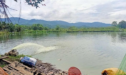 Khu vực ao nước có hiện tượng cá chết bất thường ở phường 3 Bảo Lộc, tỉnh Lâm Đồng. Ảnh: Phúc Khánh