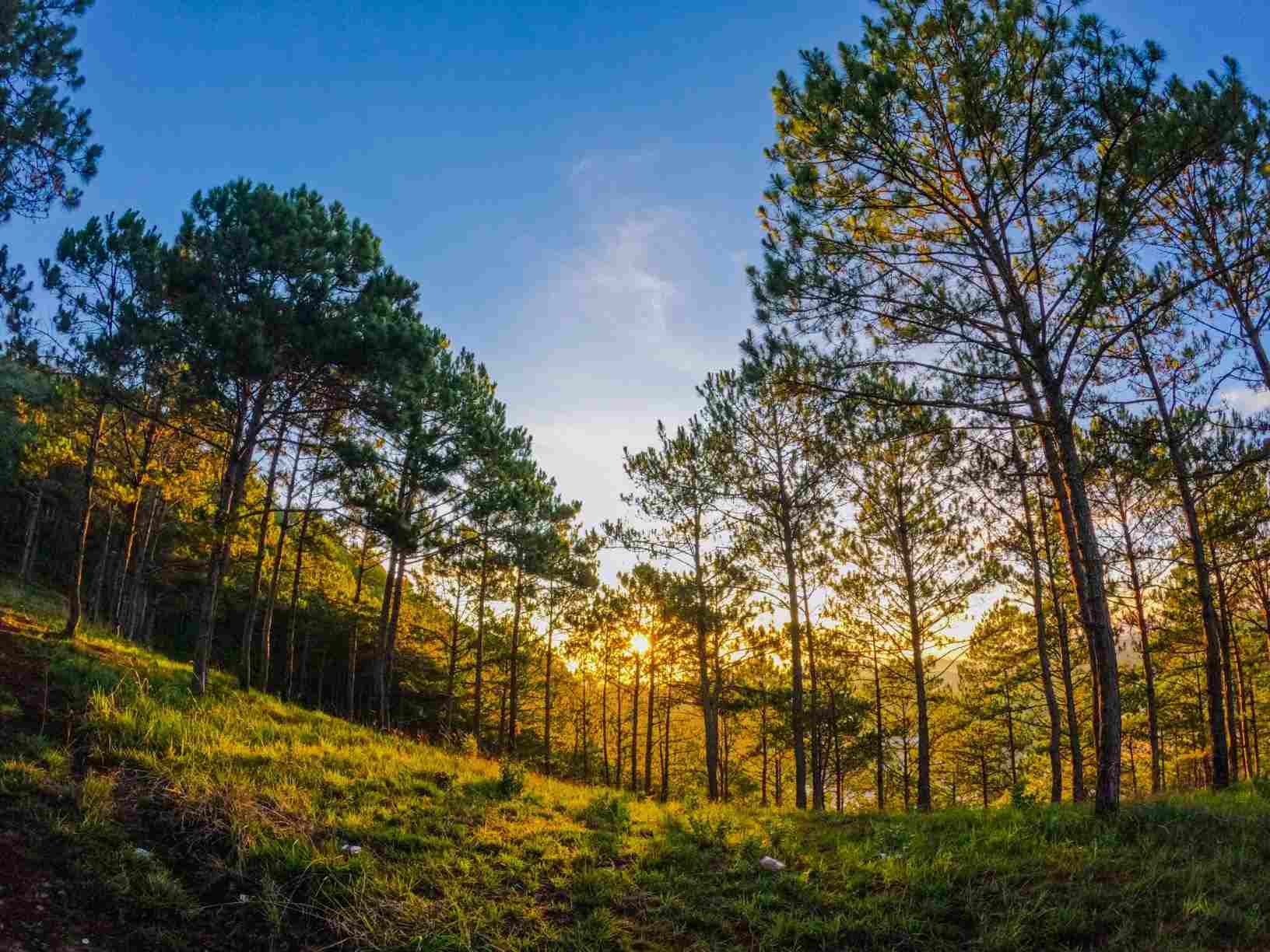 ダラット山脈の街の夕暮れ.