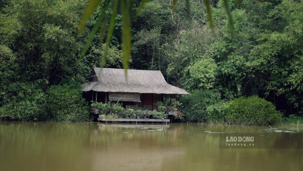 Ngoi chua duoc bao quanh boi rung thong xanh muot, cat ngang la con suoi nho no day bong sung va dac biet ngoi chua nap minh hoan toan duoi nhung day nui Hon Vuon.
