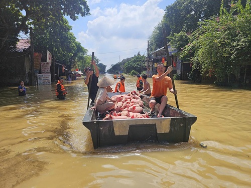 Trận lũ lịch sử khiến nhiều người dân Trung Giã sau một đêm thành trắng tay. Ảnh: Hữu Chánh