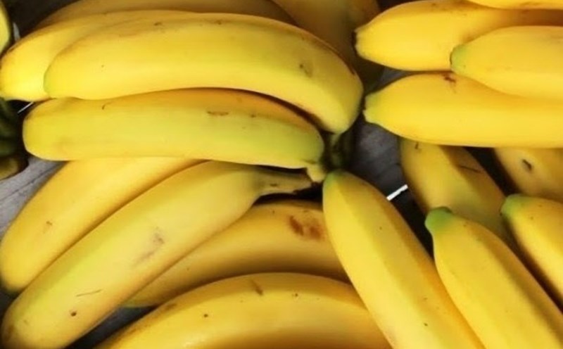 Eating 2 bananas a day has many health benefits. Photo: Quang Minh.