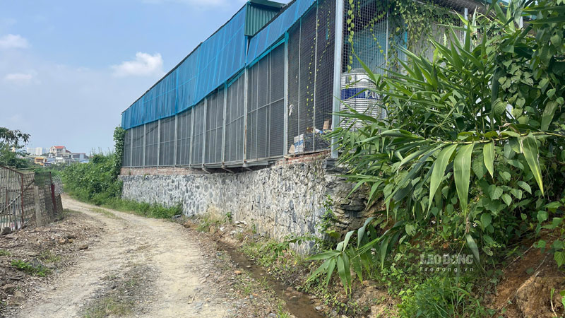 Kè đá kiên cố phía sau sân thể thao. Ảnh: Đinh Đại