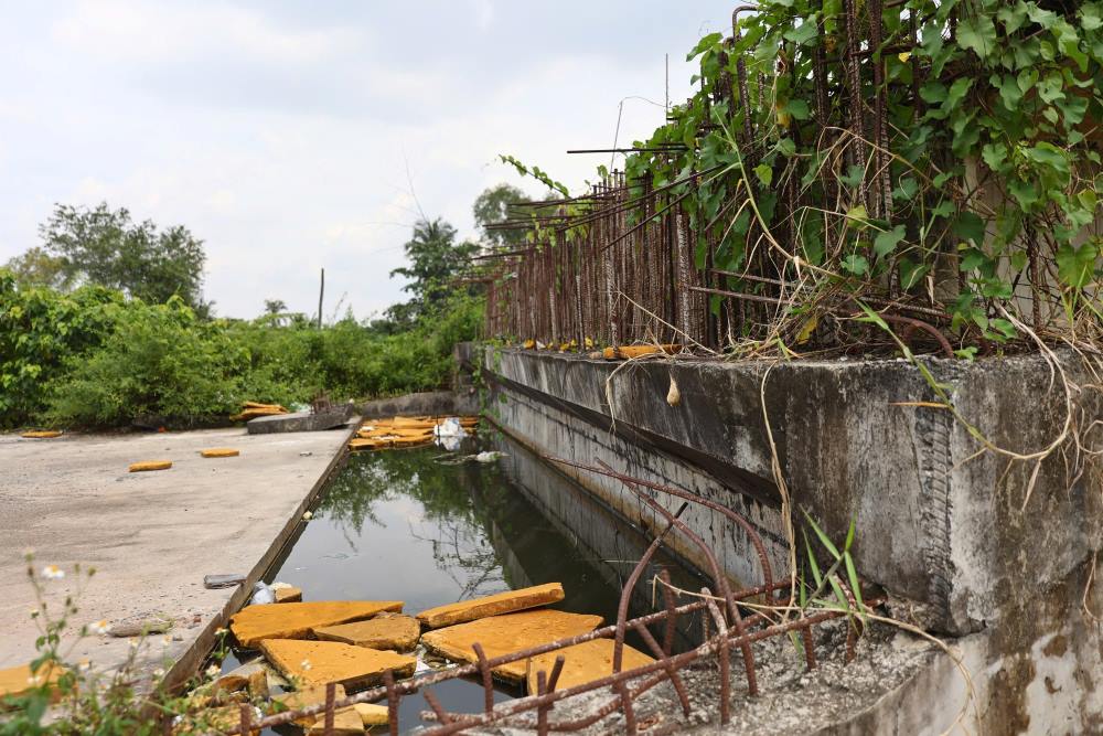 Mat cau ngon ngang vat lieu xay dung, nuoc dong thanh vung. Anh: Anh Tu