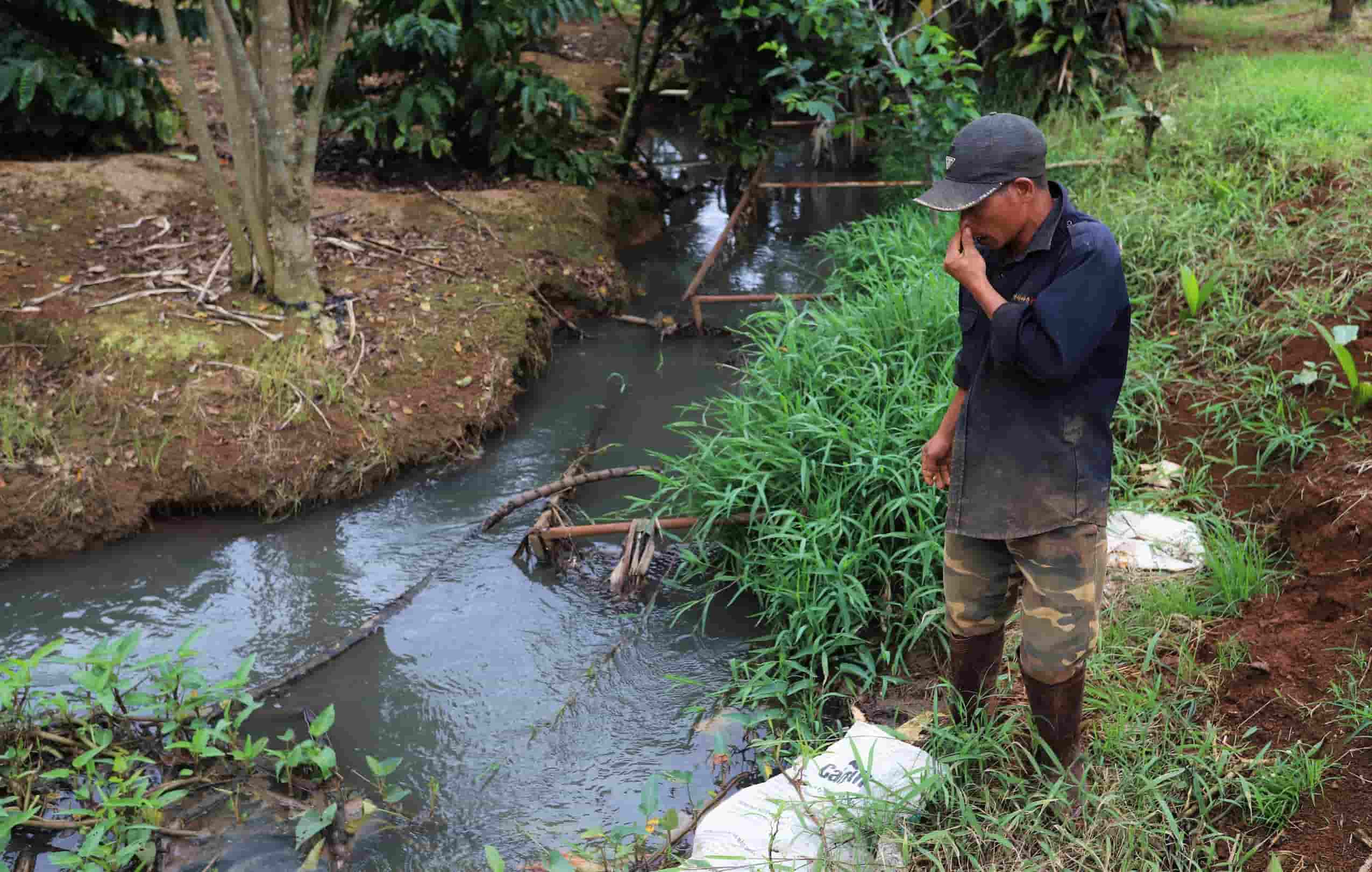 Wastewater from Mr. Quyet's pig farm in Lam Dong is discharged directly into the environment. Photo: Phuc Khanh