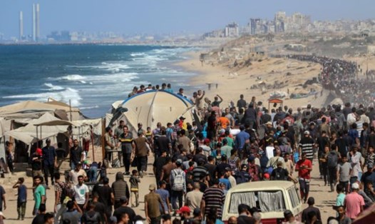 Người dân Palestine trên đường trở về Thành phố Gaza ngày 10.10.2025. Ảnh: Xinhua