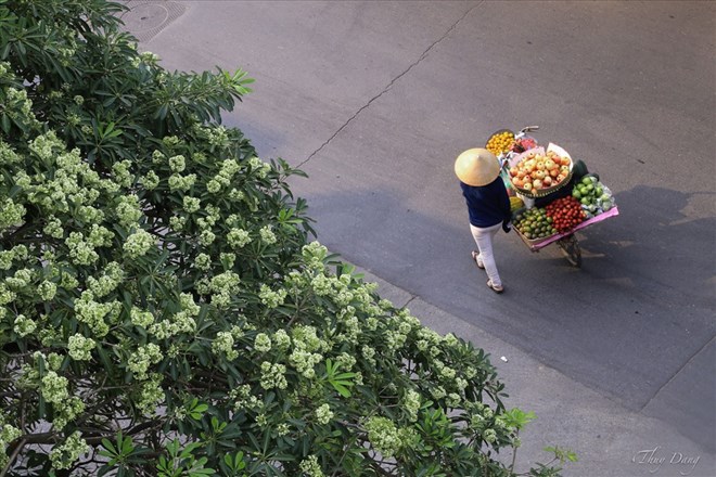 Changing some living habits helps improve health in the fall. Photo: Thuy Dang