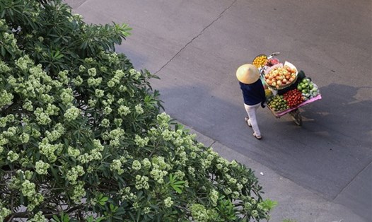 Thay đổi 1 số thói quen sinh hoạt giúp cải thiện sức khỏe vào mùa thu. Ảnh: Thủy Đặng